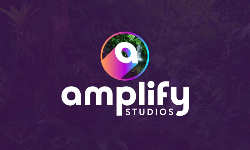 Logo Design & Brand Identity for Amplify Studio