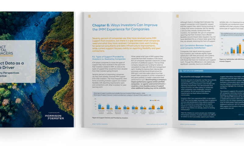 Research report design & production for an impact investment network.