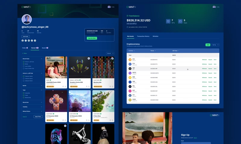Desiging a custom NFT marketplace
