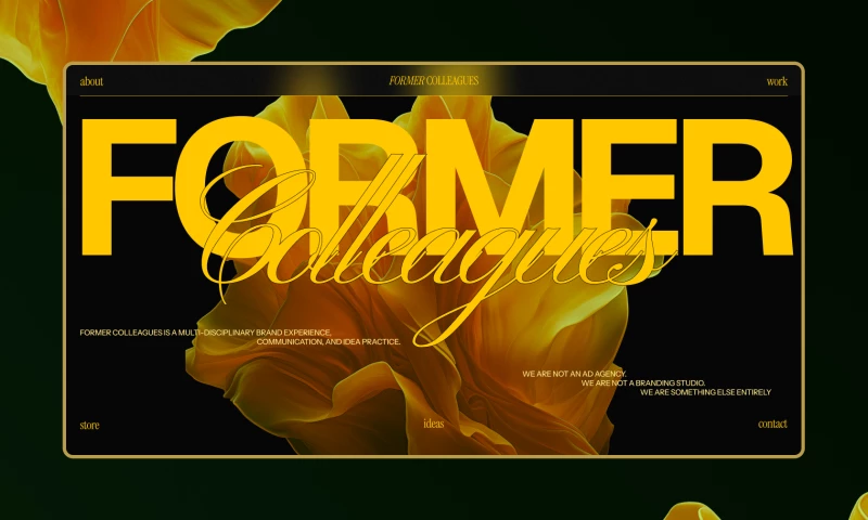 Former Collegues / Portfolio Website / Design & Webflow Dev