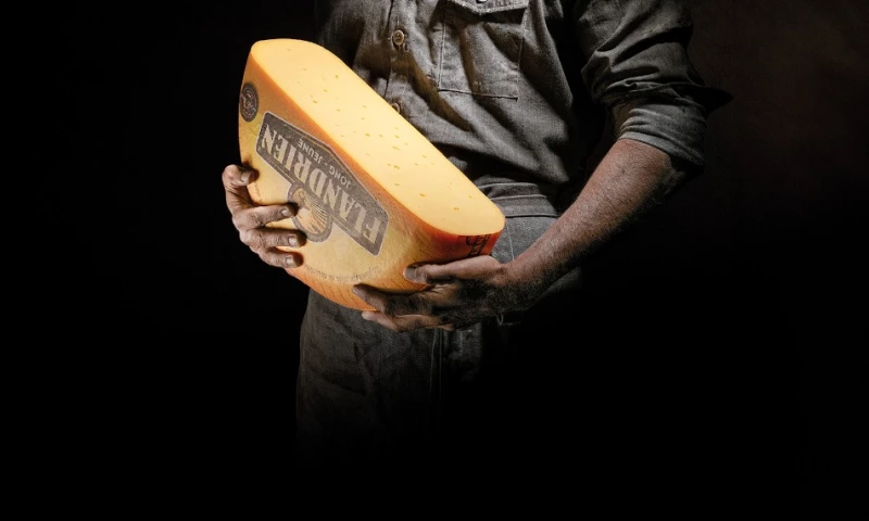 Plug Branding Agency - Campaign branding & marketing