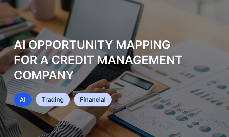 AI opportunity mapping for a credit management company