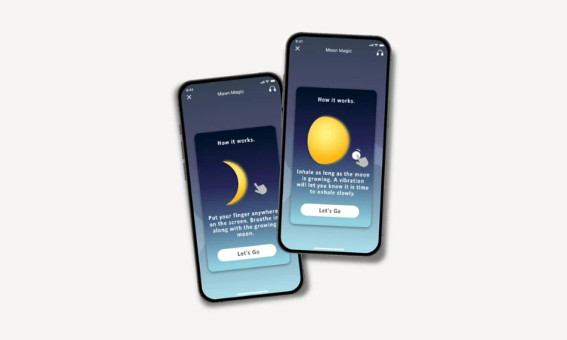 Beth Jolin Creative - Nature Space