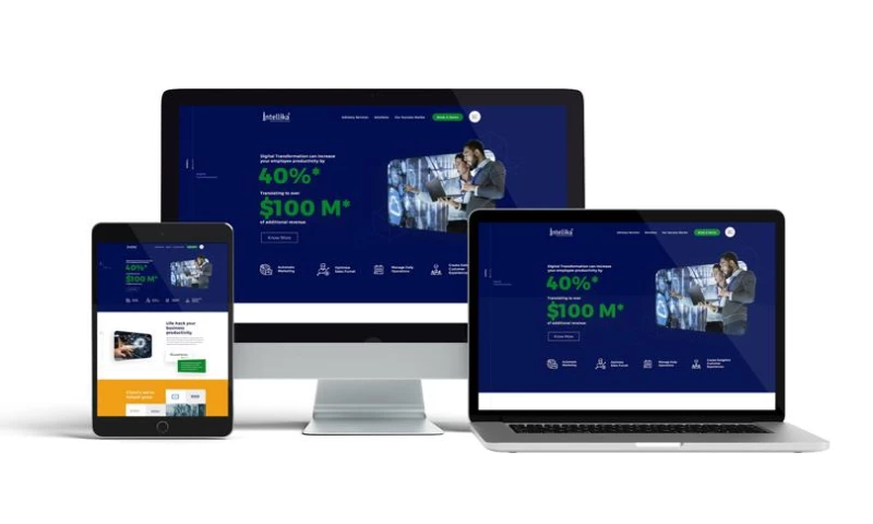 The Go-To Guy - Portfolio: Web Design Services