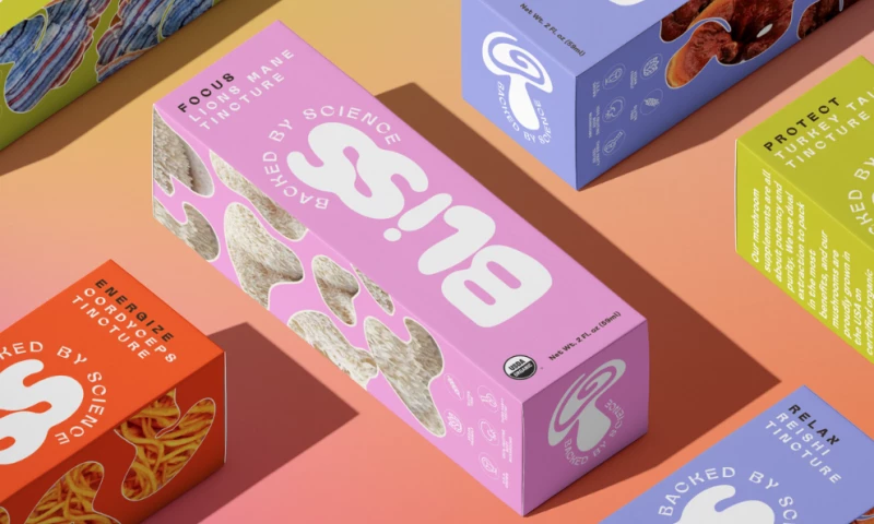 Triangular Studio Inc - Bliss Labs Co