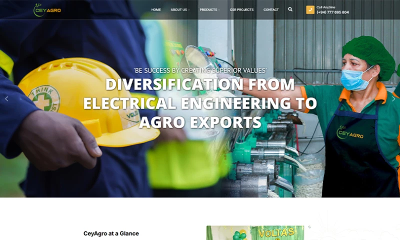 Elegant Digital Solutions - Website Design & Development Project