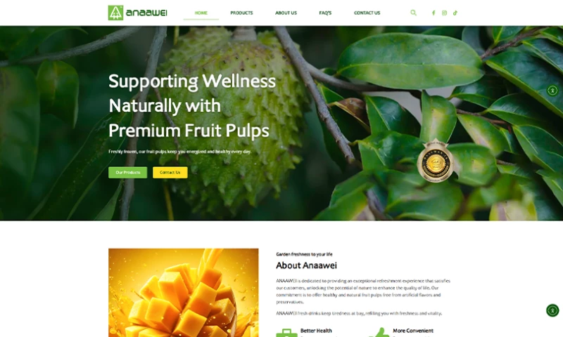 Elegant Digital Solutions - Website Design & Development Project