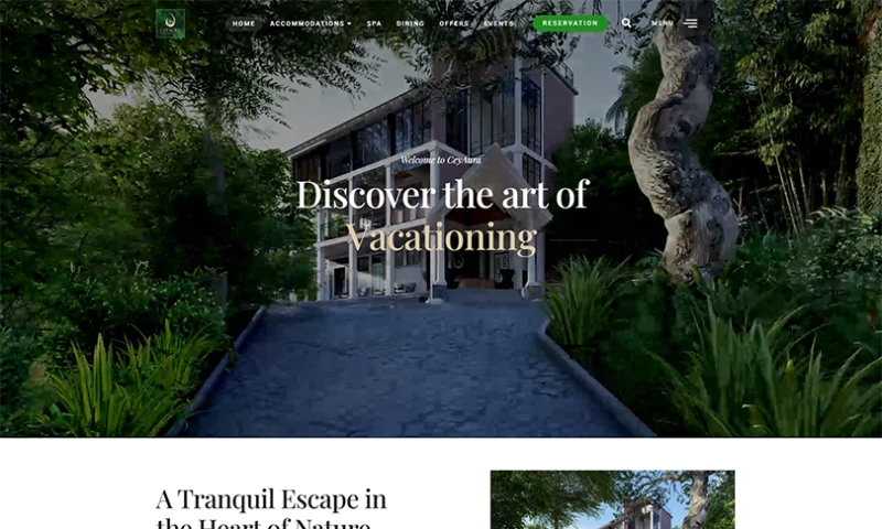 Elegant Digital Solutions - Website Design & Development Project