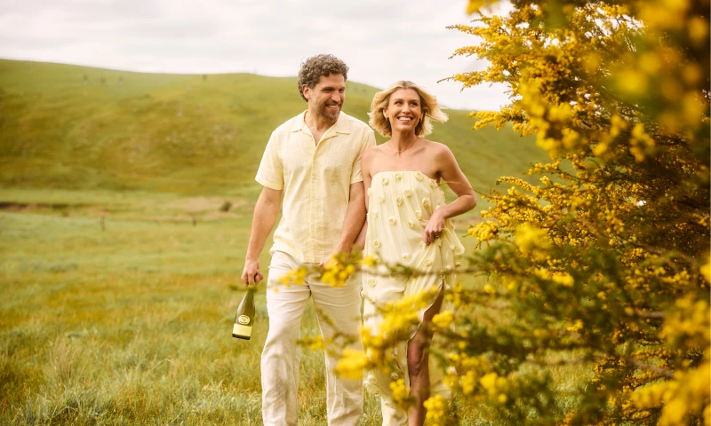 HSLR - Delight is Knowing