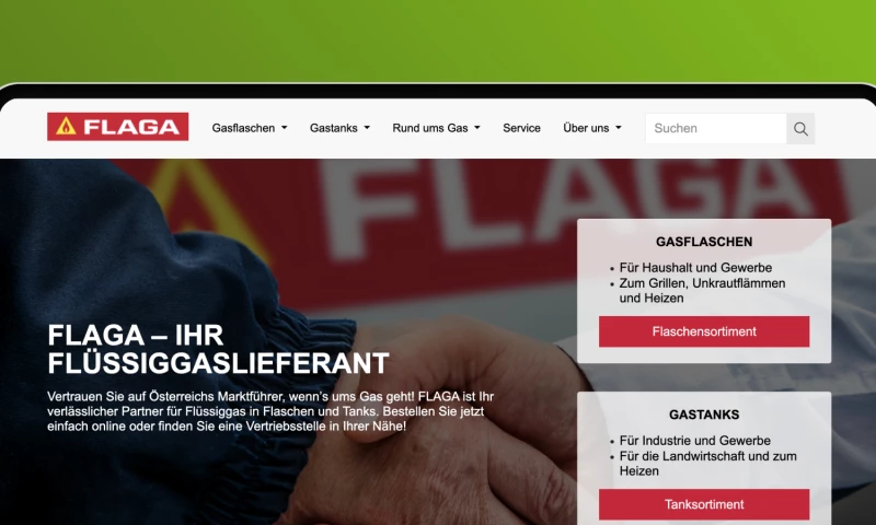 Enterprise Web Development & Multilingual Umbraco CMS Platform for Energy Supplier
