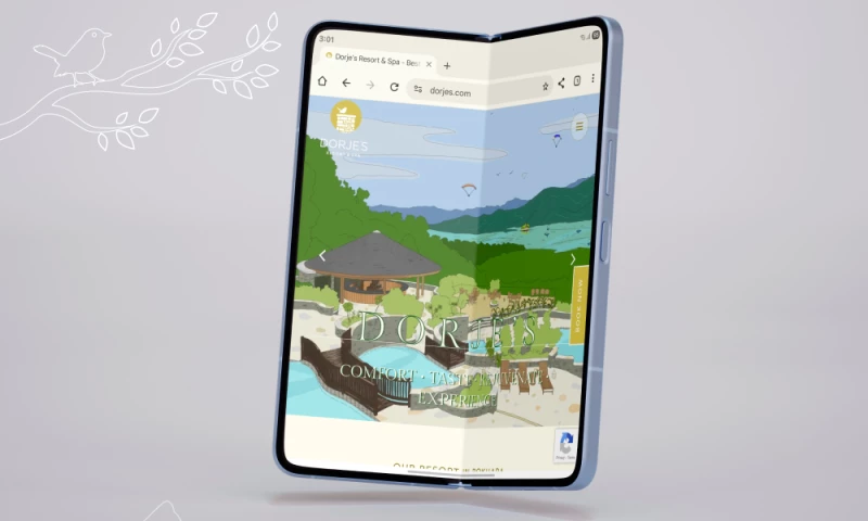 Curves n' Colors - Dorje's Website Design & Development
