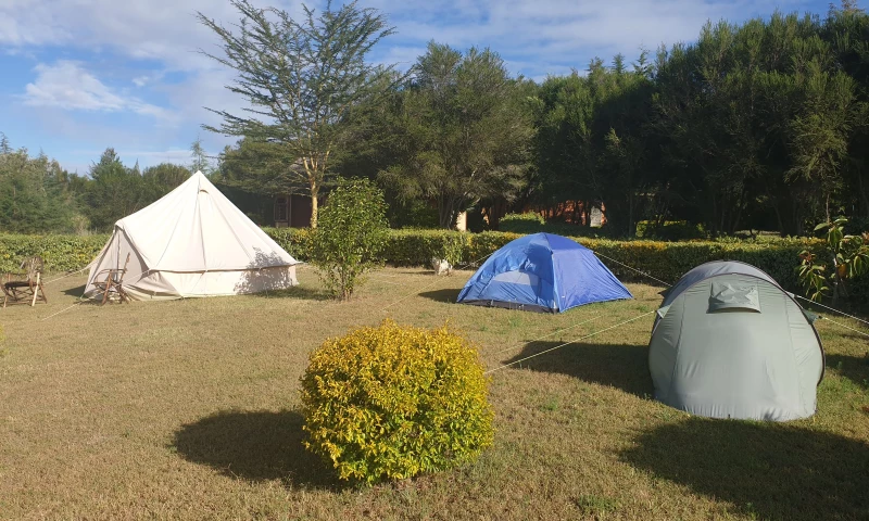 RETLM BPO - IT training Services