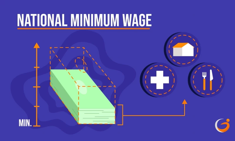 The Animation Co. - 2D Educational Explainer Video Series
