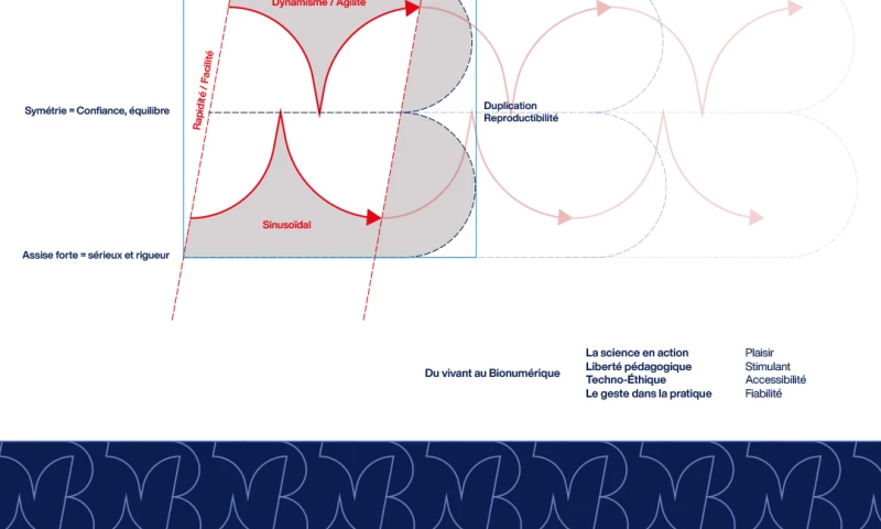 BrandSilver - Bionumetic