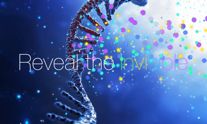 BrandSilver - Cyberna