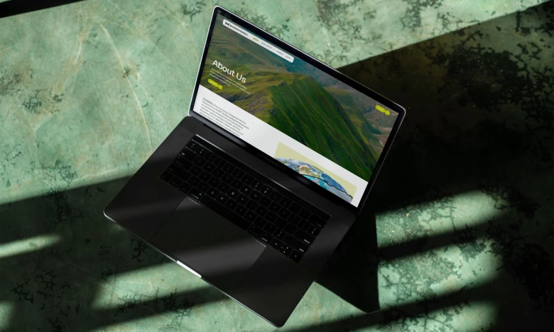 The Weather - Biogeodynamics