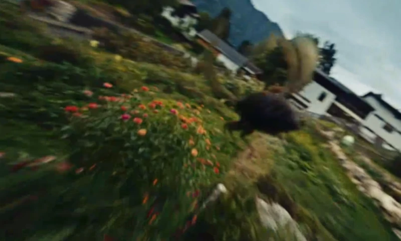 Thomas Cervenca - ALWAYS KETCHUP