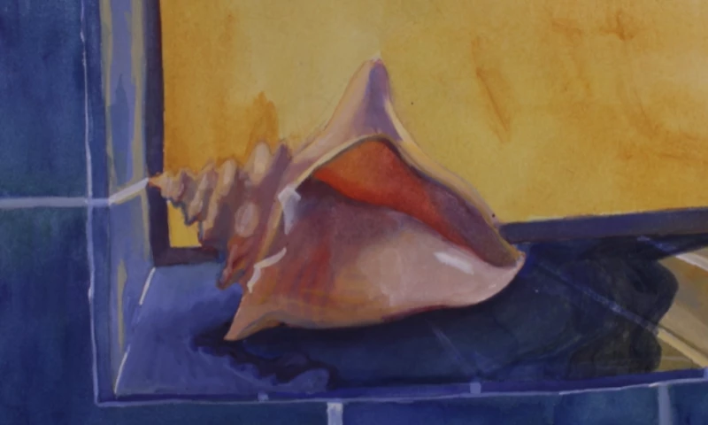 Cecilia Reeve - Porous