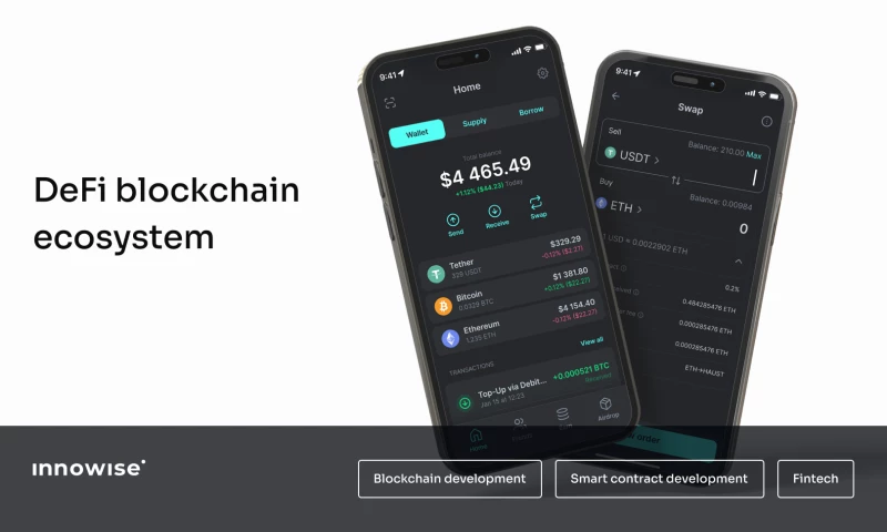 Blockchain ecosystem development