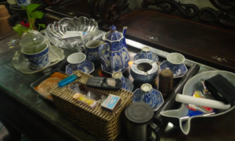 Kate Villevoye - Mr. Cường's Banyan Tree