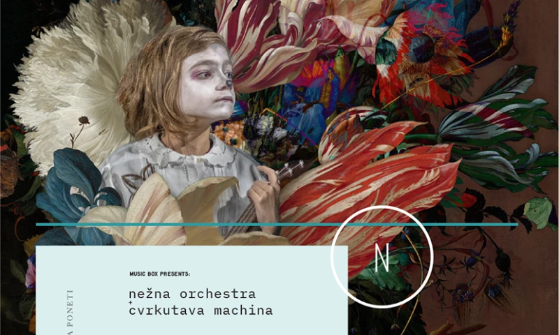 Talent Tank 9 - Gentle Orchestra