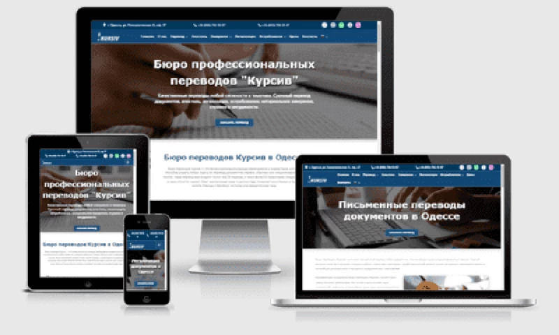 WEB-SEO - Website Development & SEO Promotion from Scratch to TOP-3 Google
