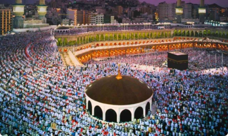 Market Prism Consulting - Haleema Limited