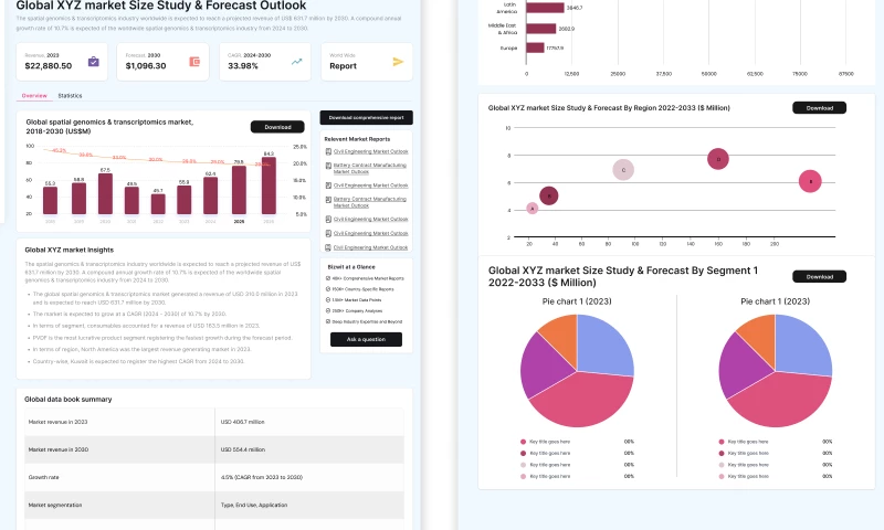 Digital Innovations - Bizwit Insight Data Research and Market Intelligence Platform