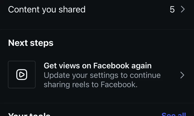 BeeBigger - Drunken Monkey Experience Hostel