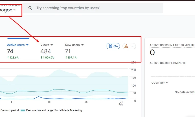 Ranking & Traffic Growth for Enneaagon