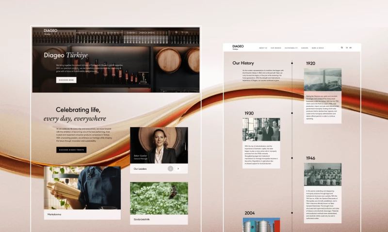 Diageo Türkiye Website Renewal