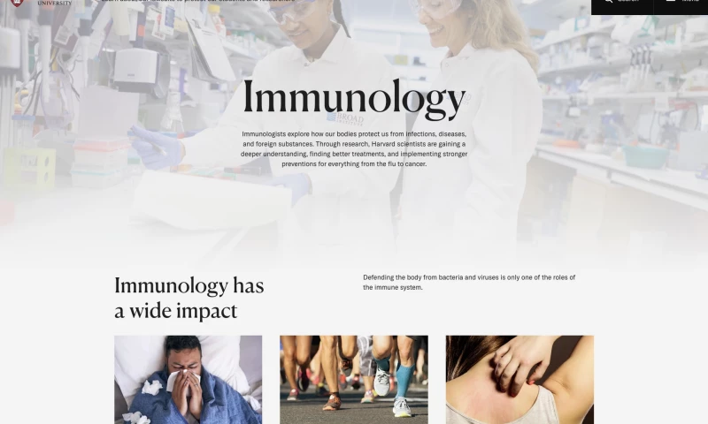 Modern Tribe - Harvard University Flagship