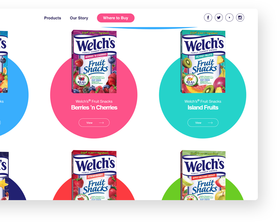 Welch’s Fruit Snacks Product Grid Product page showing Welch’s fruit snacks boxes in colorful circles, including Berries ’n Cherries and Island Fruits options with “View” buttons.