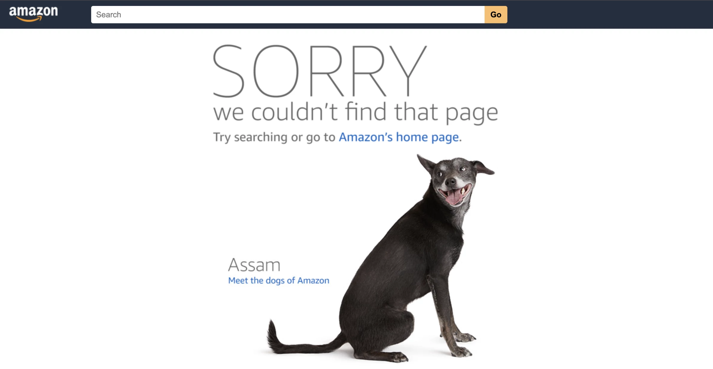 Amazon's 404 error page