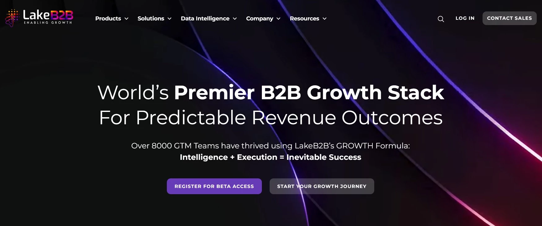 Lake B2B healthcare data provider homepage