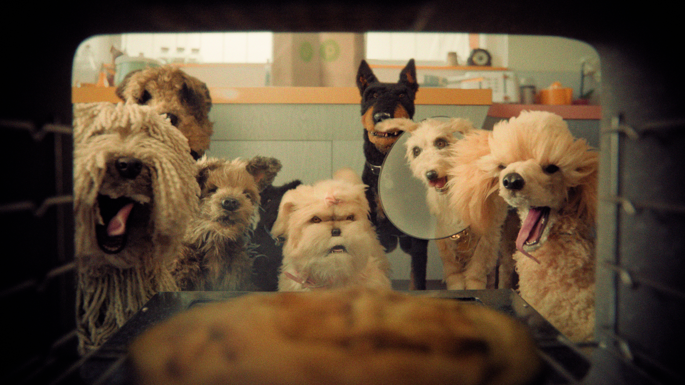 A screenshot showing handmade dog puppets from Publix's "Best Friends" campaign