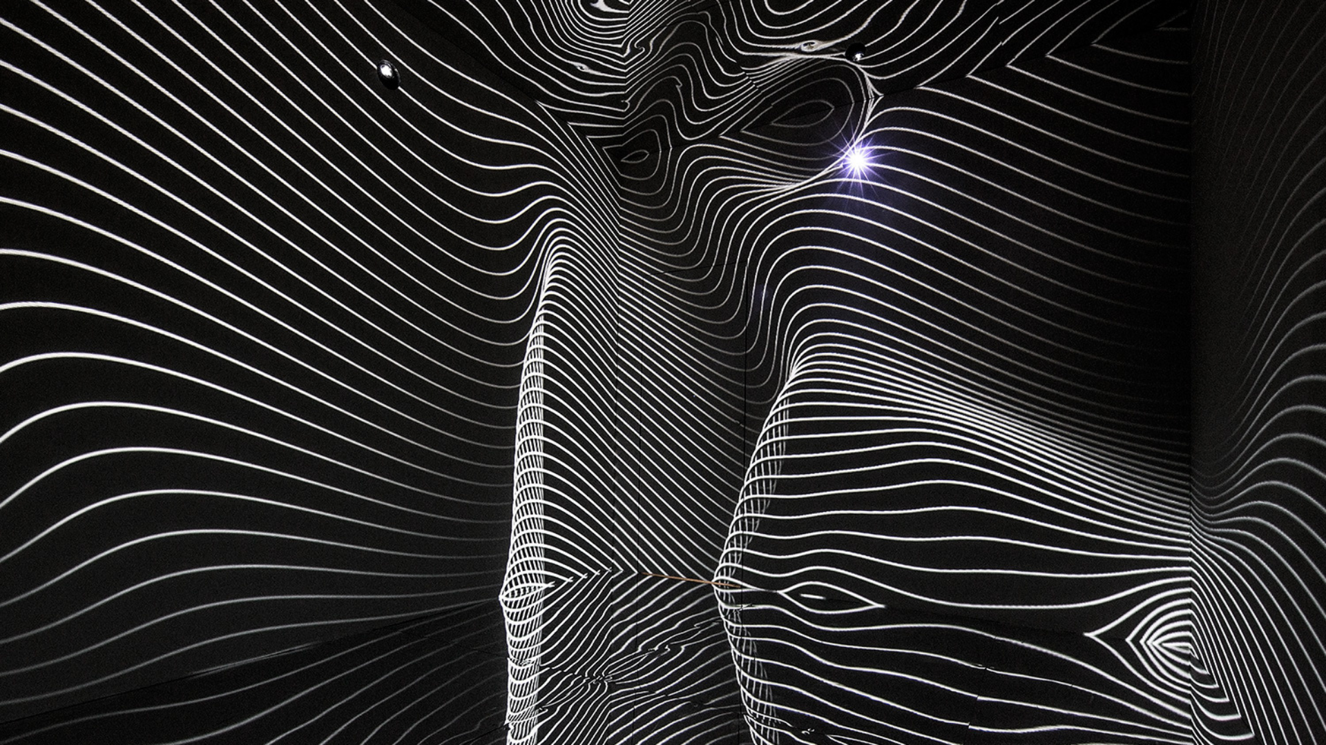 Black and white contour line projections filling mirrored room walls 