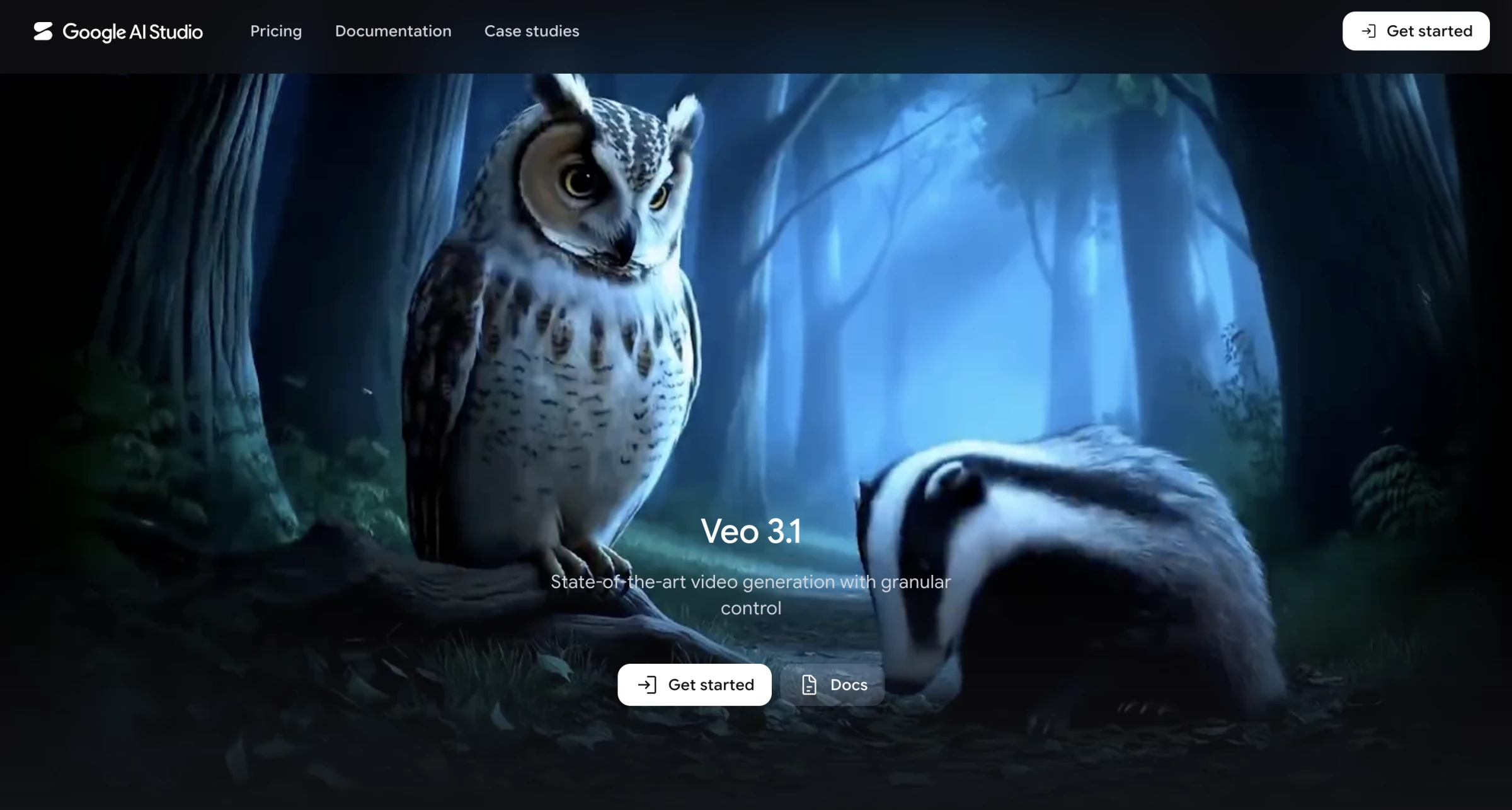 google veo hero image google veo hero image