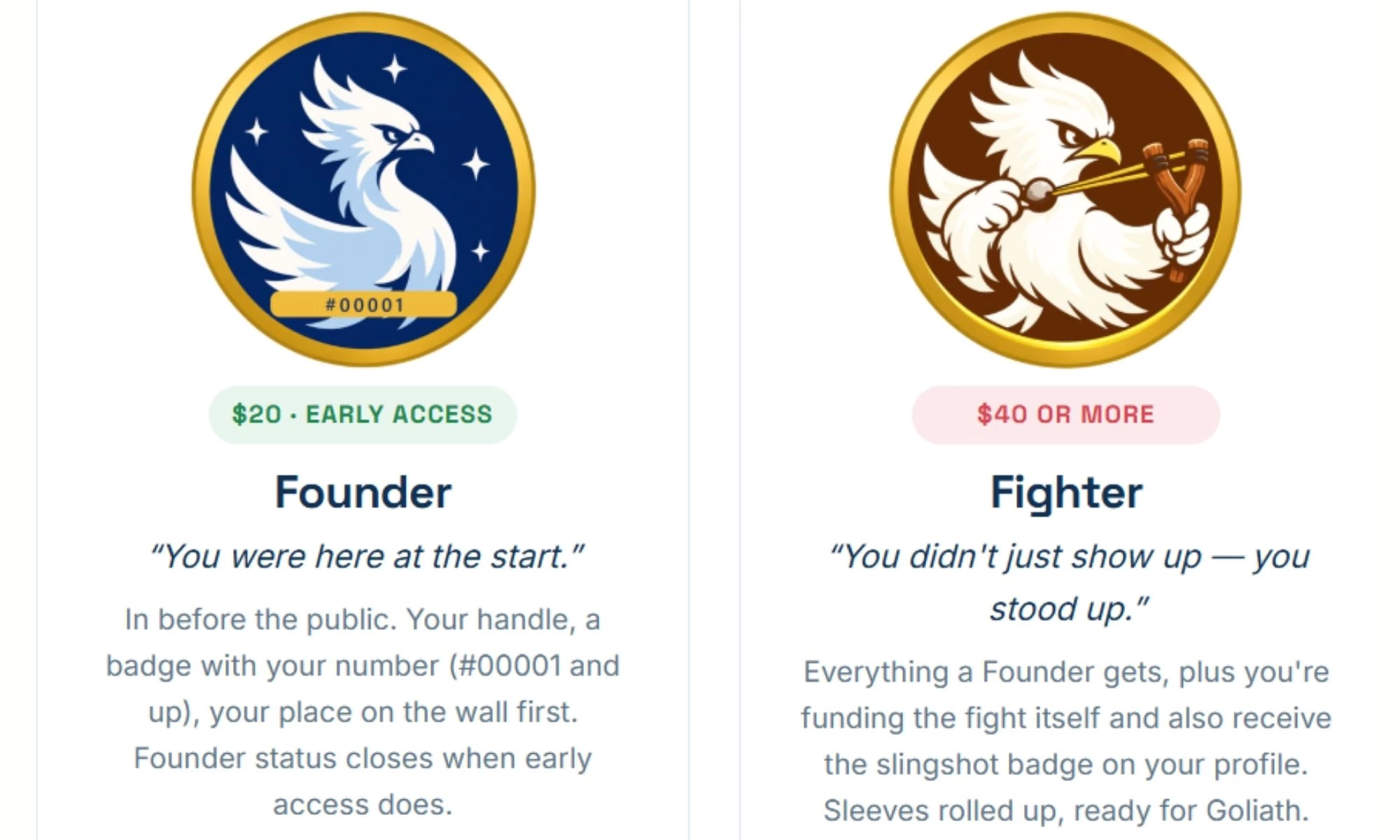 Screenshot of Twitter.now member tiers and their descriptions.