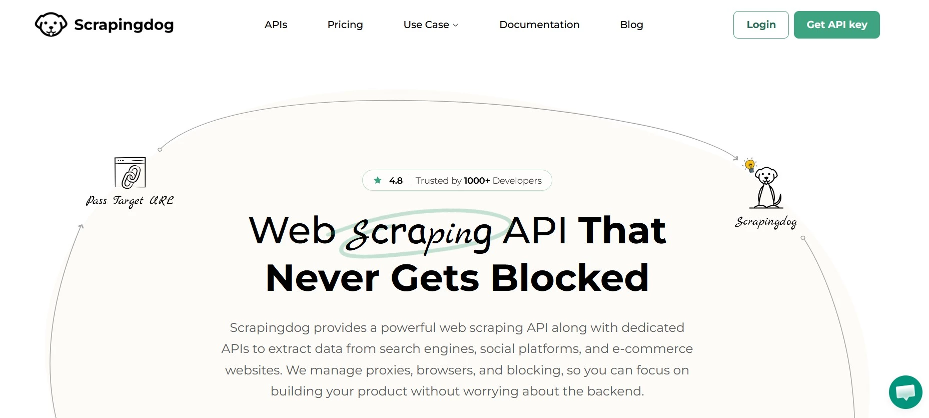 Scrapingdog SERP scraper API homepage