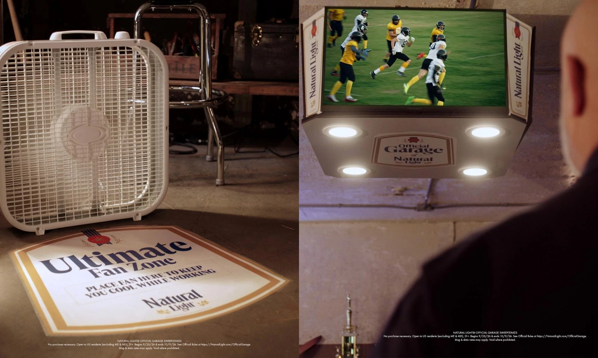 Natural Light Fan Zone and Nattytron