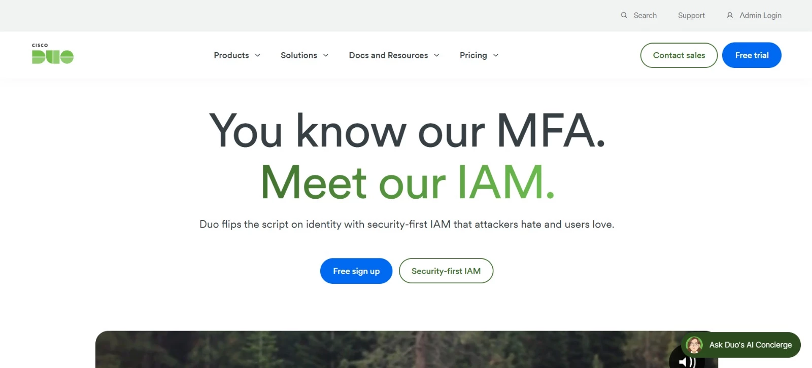 Cisco Duo IAM tool homepage Cisco Duo IAM tool homepage