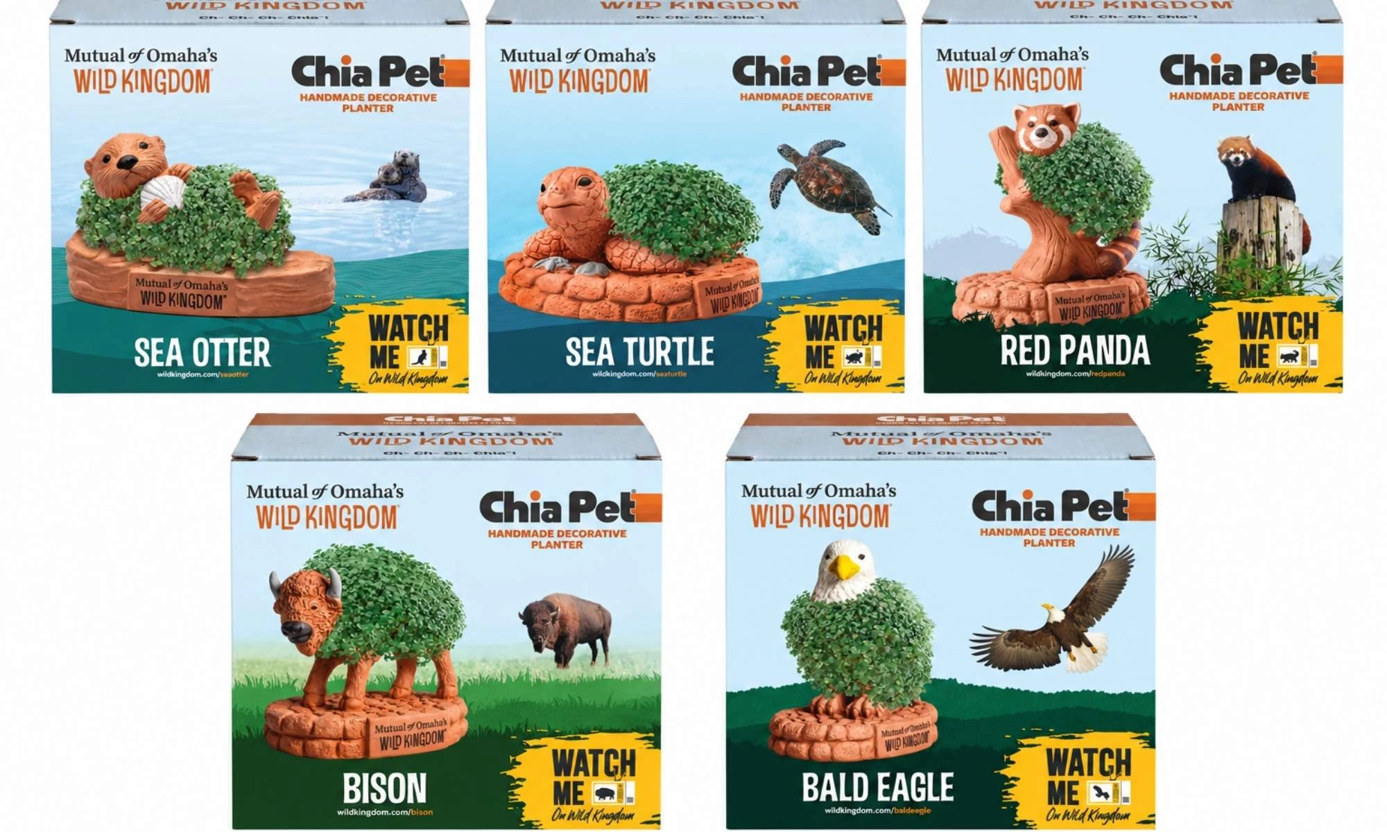 wild-kingdom-chia-pet-packaging Wild Kingdom x Chia Pet educational packaging.