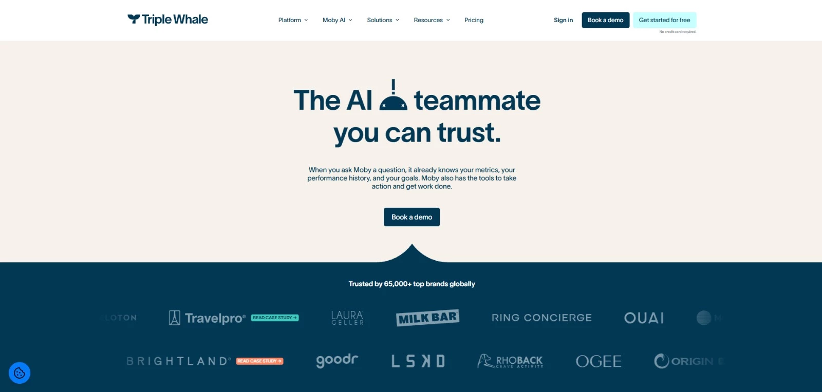 Triple Whale eCommerce AI tool homepage