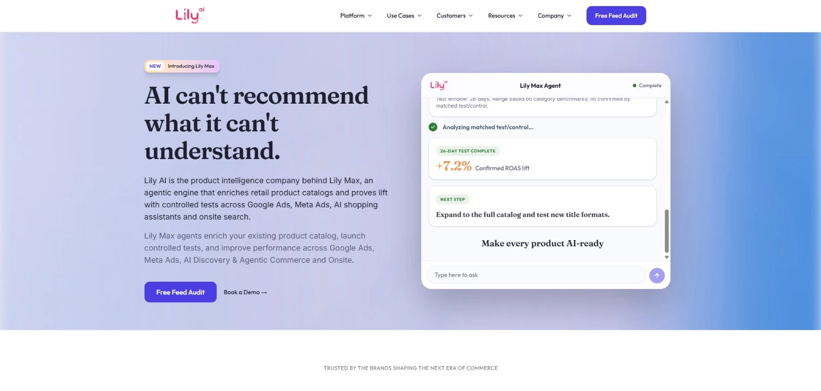 Lily AI eCommerce AI tool homepage