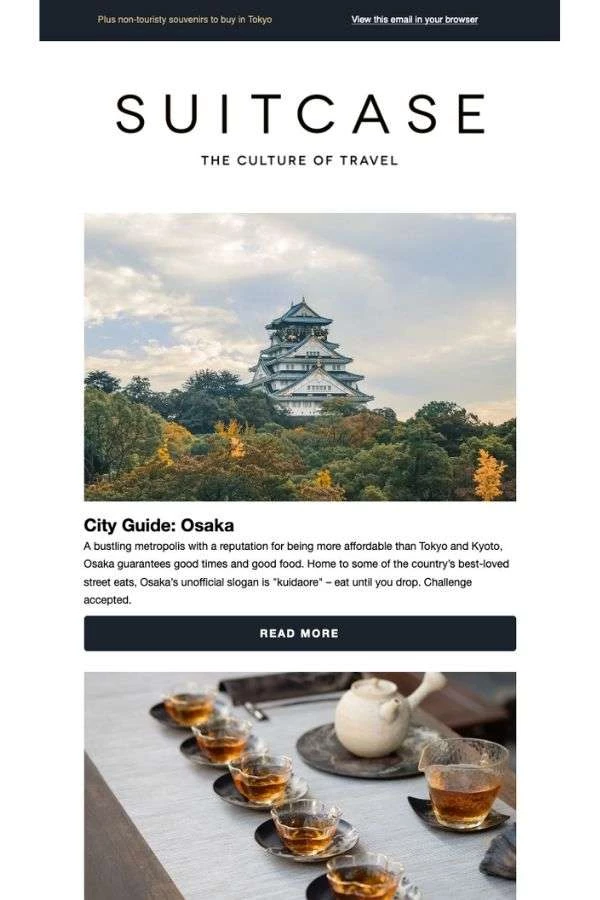 newsletter-email-campaign-examples-Suitcase newsletter email campaign examples: Suitcase