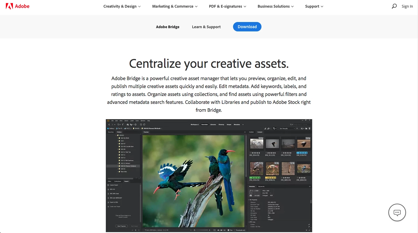 photo management software – adobe bridge photo management software: screenshot of Adobe Bridge homepage