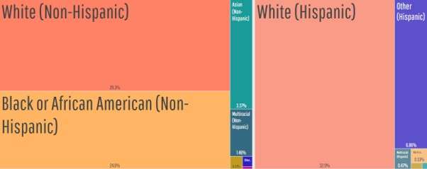 Dallas web development agencies: Dallas’ biggest ethnic groups