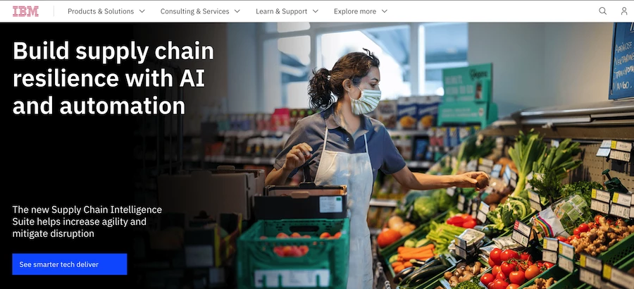 IBM B2B website design