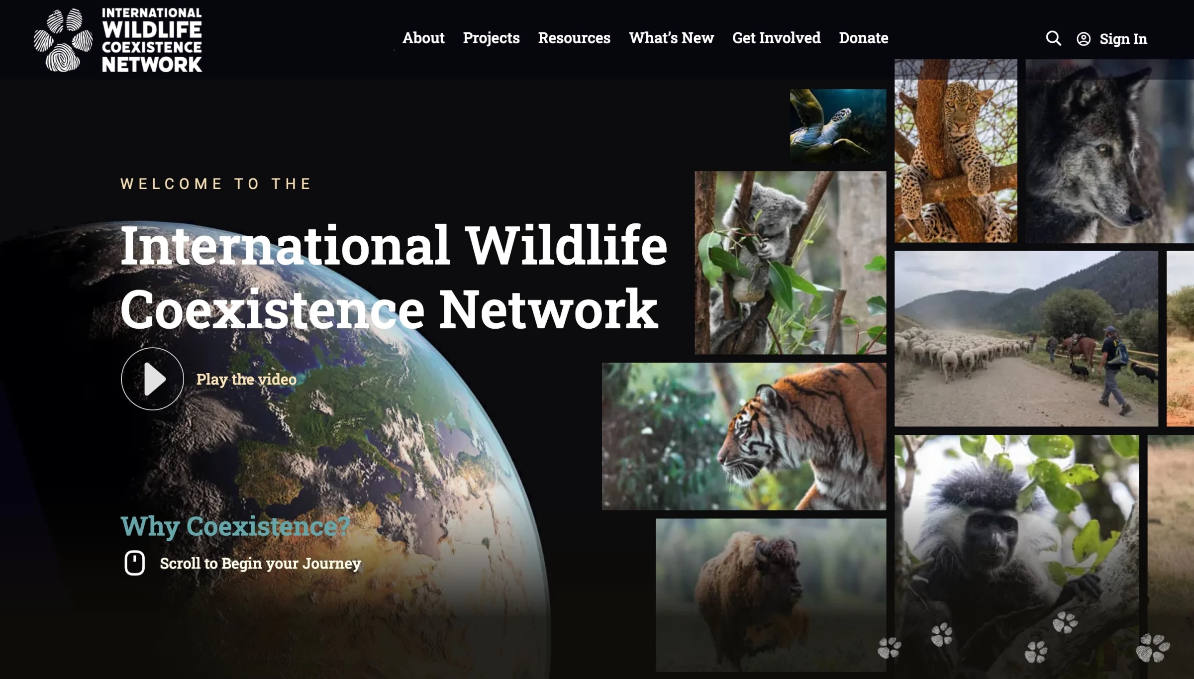 Wildlife Coexistence website design